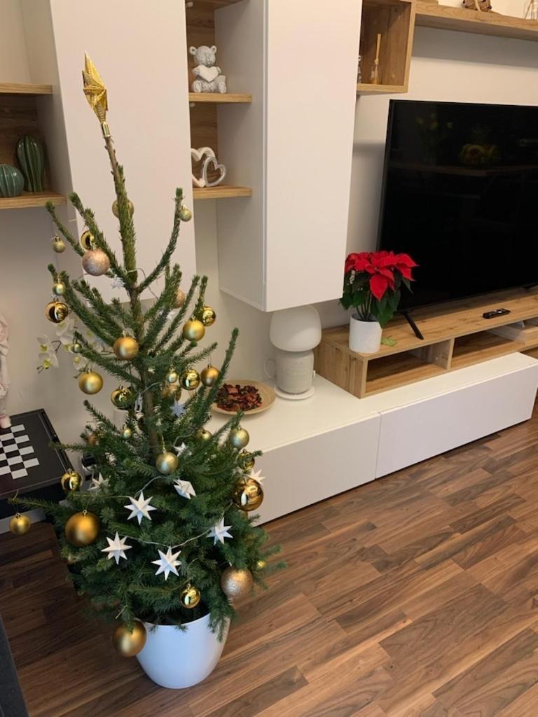Krejcarek Garden Apartment Prag Exteriör bild
